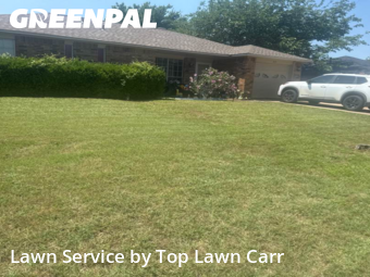 Grass Services in Glenn Heights, 75154, Yard Care by Top Lawn Carr, work completed in Aug , 2025