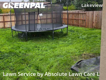 Landscaping In Stockton,95207,Landscaping Maintenance by Absolute Lawn Care L, work completed in Dec , 2025