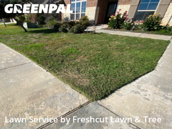 Lawn Cut nearby Seguin, TX, 