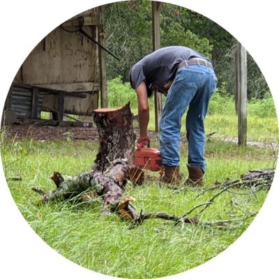 Lopez Tree Specialis