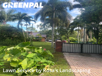 Property Maintenance in Jupiter, 33478, Weed Trimming by Rosa's Landscaping , work completed in Nov , 2025