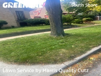 Yard Mowing nearby Chicago, IL, 