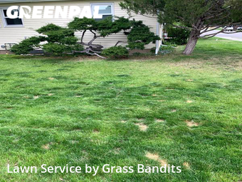 Lawn Maintenance nearby Billings, MT, 