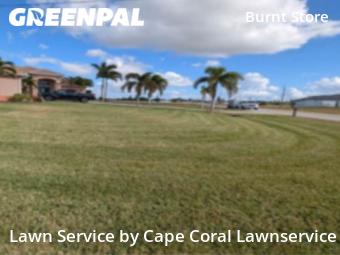 Lawn Mowing nearby Cape Coral, FL, 