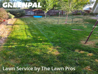 Lawn Cut nearby Broomfield, CO, 