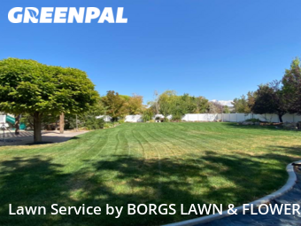 Lawn Mowing nearby Stansbury Park, UT, 