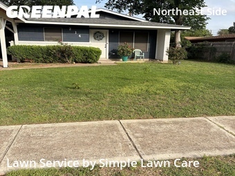 Lawn Cut nearby San Antonio, TX, 