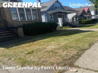 Lawn Cut nearby Buffalo, NY, 