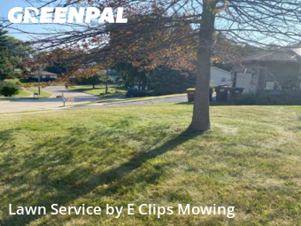 Lawn Mowing Service nearby Rockford, IL, 
