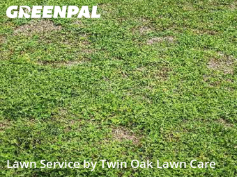 Lawn Maintenance nearby Orange Park, FL, 