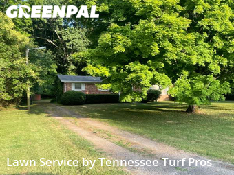 Grass Cutting nearby Hendersonville, TN, 