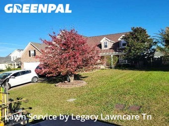 Yard Cutting nearby Murfreesboro, TN, 
