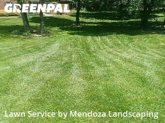 Lawn Mow nearby Colfax, NC, 