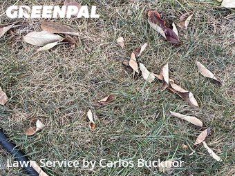 Yard Mowing nearby Lee's Summit, MO, 