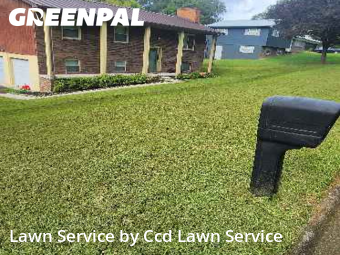 Lawn Cut nearby Knoxville, NC, 