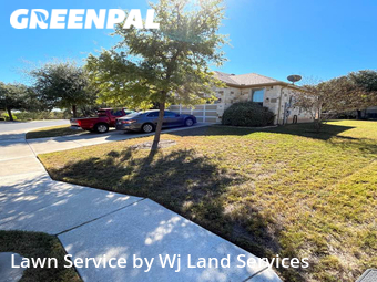 Grass Cut nearby New Braunfels, TX, 