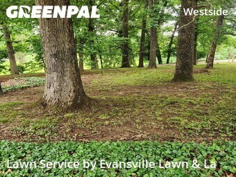 Lawn Maintenance nearby Evansville, IN, 
