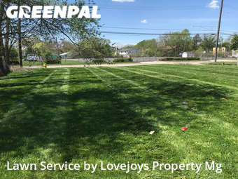 Lawn Cut nearby Ypsilanti, MI, 