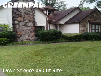 Lawn Cut nearby Memphis, AR, 