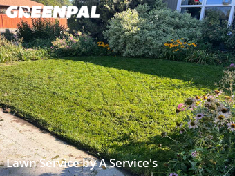 Lawn Mow nearby Fort Collins, CO, 