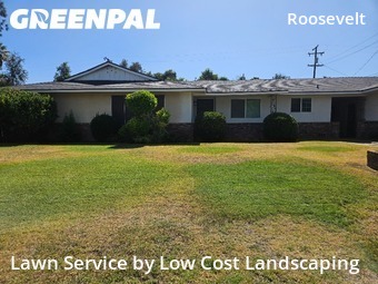 Lawn Mow nearby Fresno, CA, 