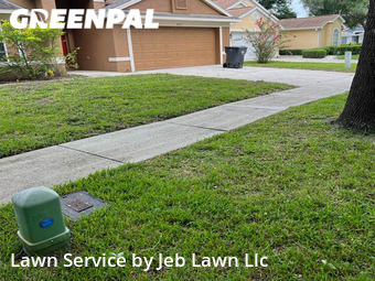 Lawn Cutting nearby Tampa, FL, 