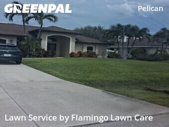 Grass Cut nearby Cape Coral, FL, 