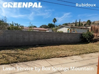 Lawn Mow nearby Riverside, CA, 