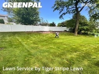 Lawn Care Service nearby Omaha, NE, 
