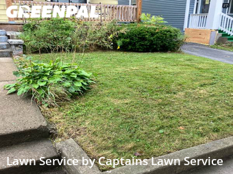 Lawn Maintenance nearby Buffalo, NY, 
