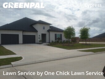 Lawn Cut nearby Harris County, TX, 