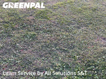 Lawn Mow nearby Haines City, FL, 