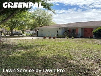 Grass Cut nearby Sarasota, FL, 