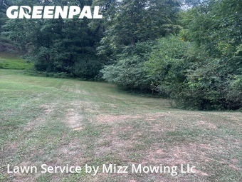 Lawn Mow nearby Roanoke, VA, 
