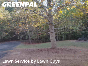 Lawn Service nearby Cumming, GA, 