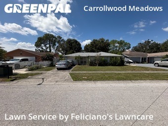 Grass Cut nearby Tampa, FL, 