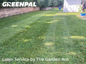 Lawn Care nearby Chesterfield, MO, 