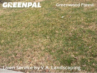 Yard Cutting nearby Houston, TX, 