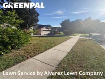Yard Mowingin Ocoee,34761,Lawn Care by Alvarez Lawn Company, work completed in Nov , 2025