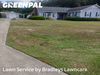 Yard Cutting nearby Greenville, NC, 