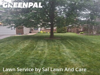 Lawn Mowing Service nearby Hammond, IN, 
