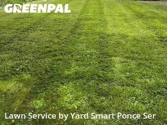 Lawn Cut nearby Glen Ellyn, IL, 
