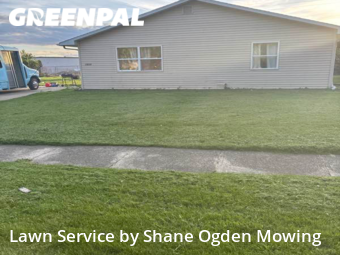 Lawn Mow nearby Champaign, IL, 