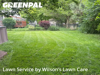 Lawn Service nearby Westland, MI, 
