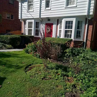 Lawn Love Lawn Care of Washington DC Photo 10