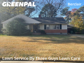 Yard Cutting in Memphis, 38122, Yard Care Services by Three Guys Lawn Care, work completed in Dec , 2025