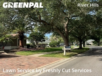 Grass Cutting nearby Valrico, FL, 
