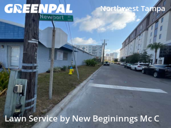 Lawn Care Service nearby Tampa, FL, 