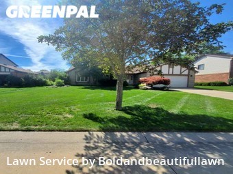 Grass Cut nearby Novi, MI, 