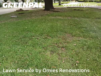 Lawn Mowing Service nearby Houston, TX, 